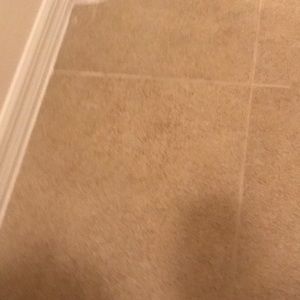 Meet your Posher, Bryahnna